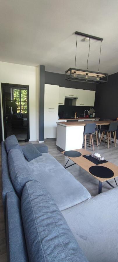 Appartement d'Hippolyte Charleville-Mézières Extérieur photo